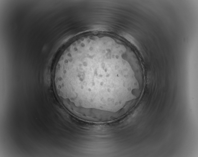 X0000088061067200705251338