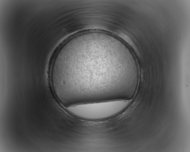 X0000088061068200705251338