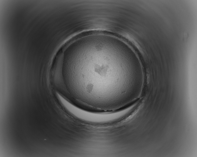 X0000088061069200705251338