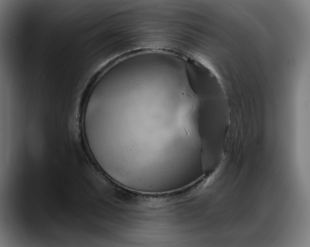 X0000088061071200705251338