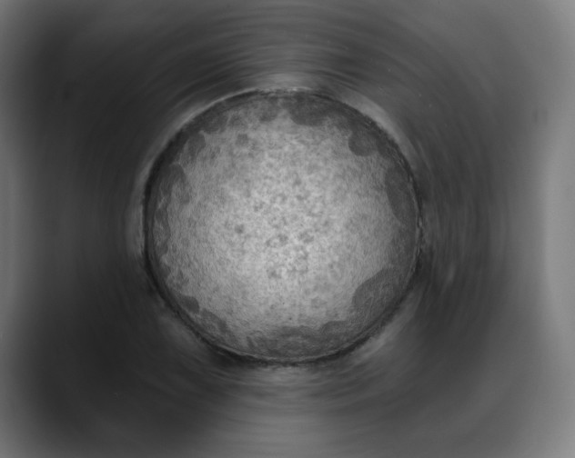 X0000088061075200705251338