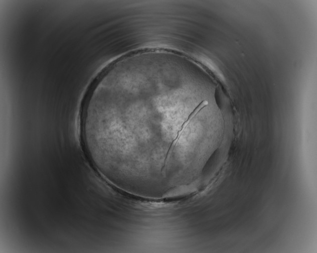 X0000088061076200705251338