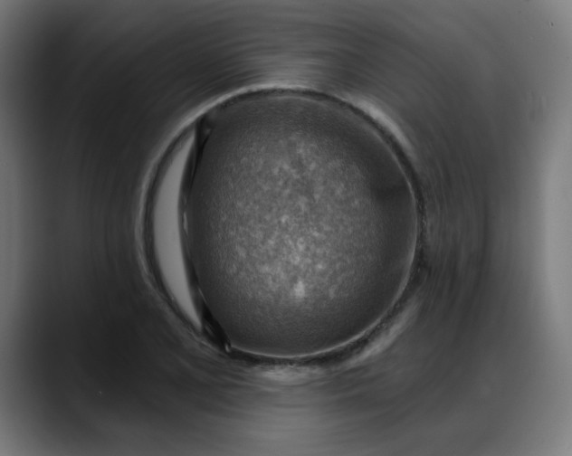 X0000088061077200705251338