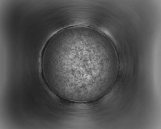 X0000088061079200705251338