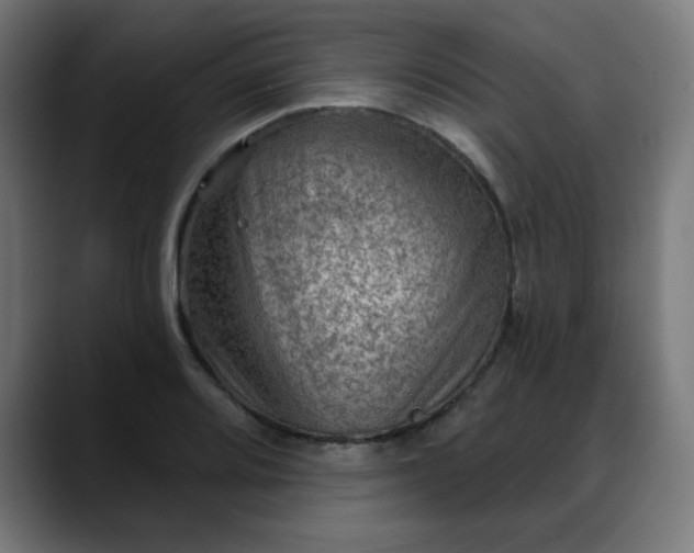 X0000088061080200705251338