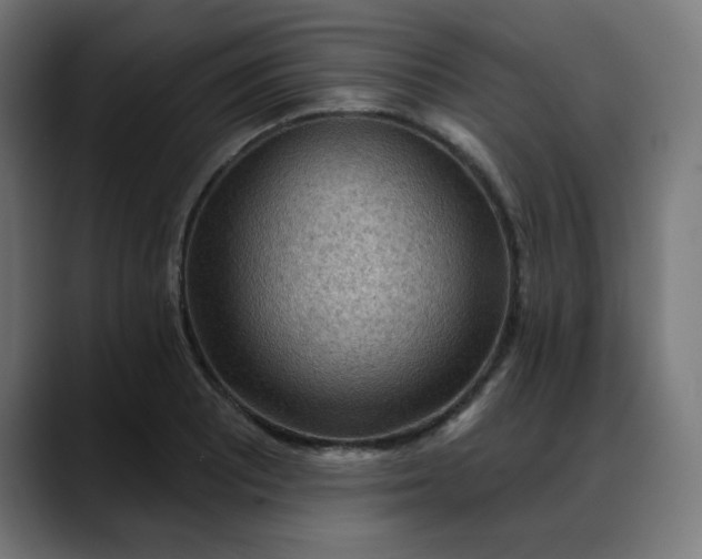 X0000088061081200705251338