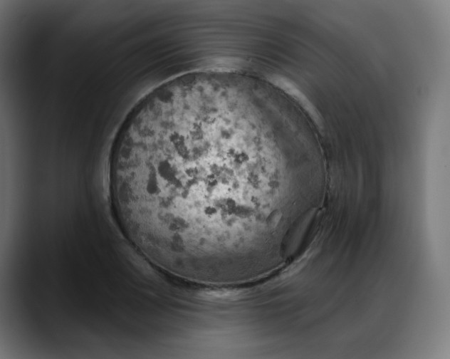 X0000088061083200705251337