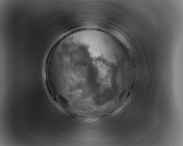 X0000088061084200705251337
