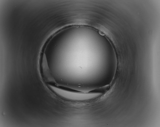 X0000088061085200705251337