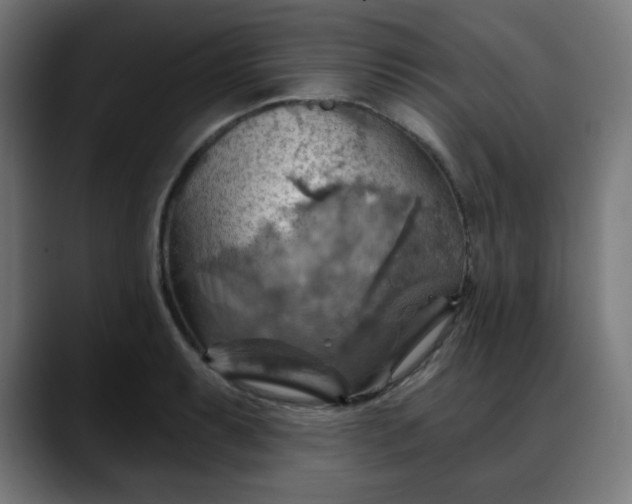 X0000088061087200705251337
