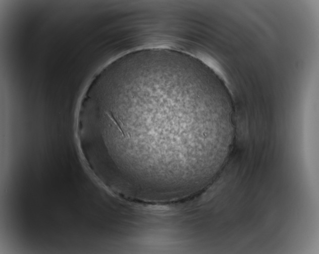 X0000088061088200705251337