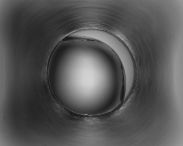 X0000088061089200705251337