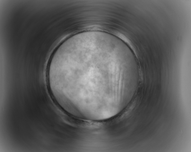 X0000088061090200705251337