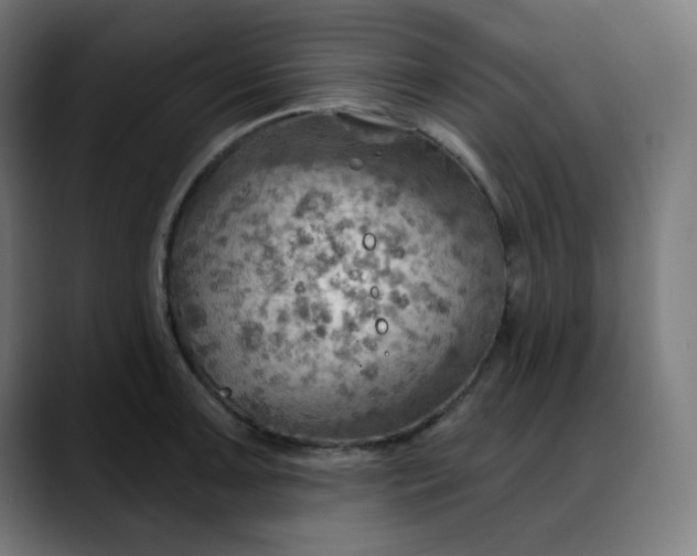 X0000088061091200705251337