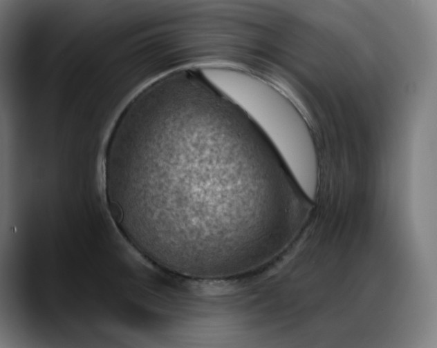 X0000088061092200705251337