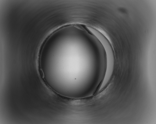 X0000088061093200705251337