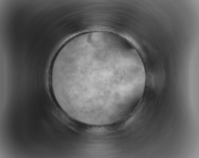 X0000088061094200705251337