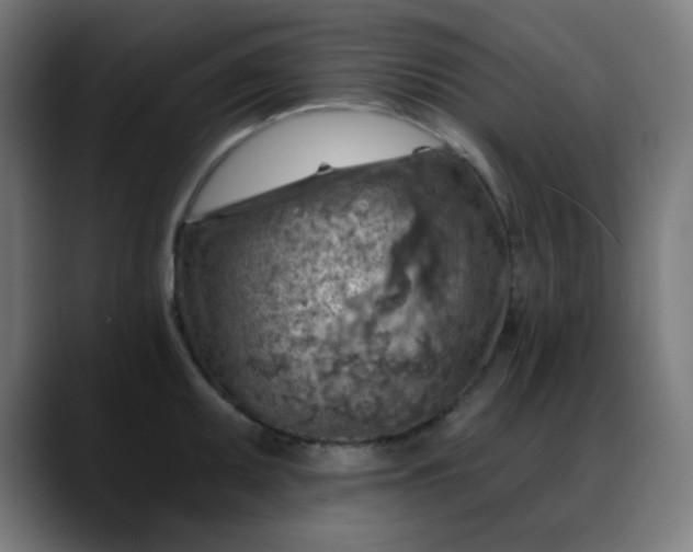 X0000088061095200705251337