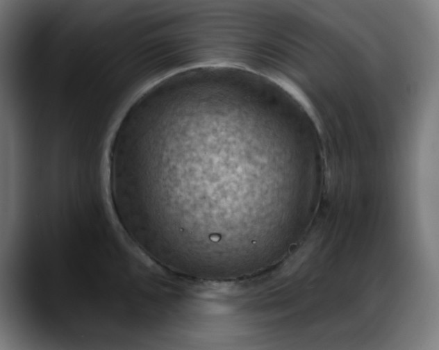 X0000088061096200705251337