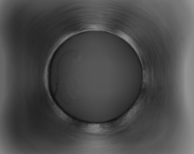 X0000088061098200705251337