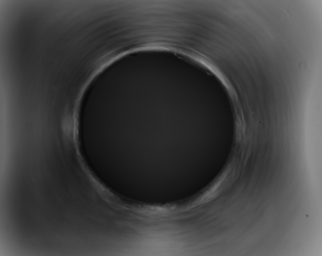 X0000088061101200705251337