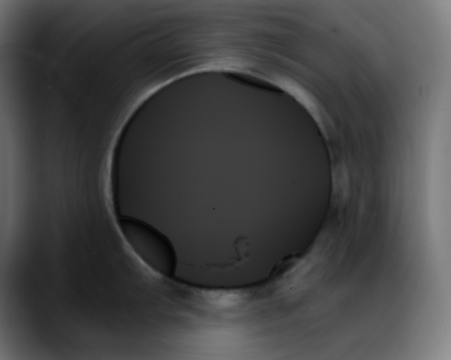 X0000088061103200705251337