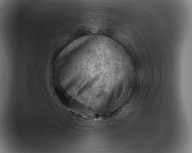 X0000088061105200705251337