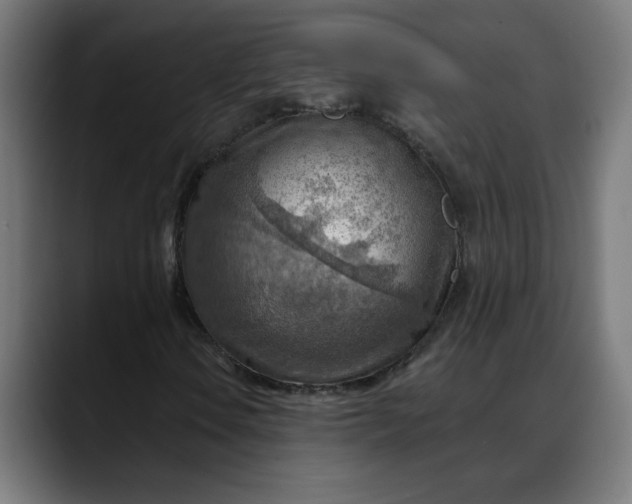 X0000088061106200705251337