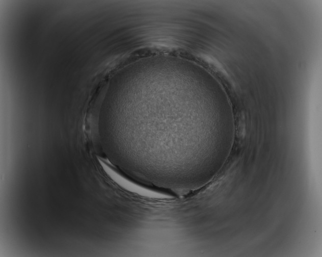 X0000088061110200705251337