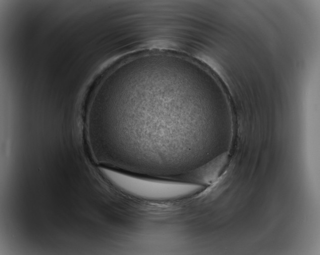 X0000088061115200705251337