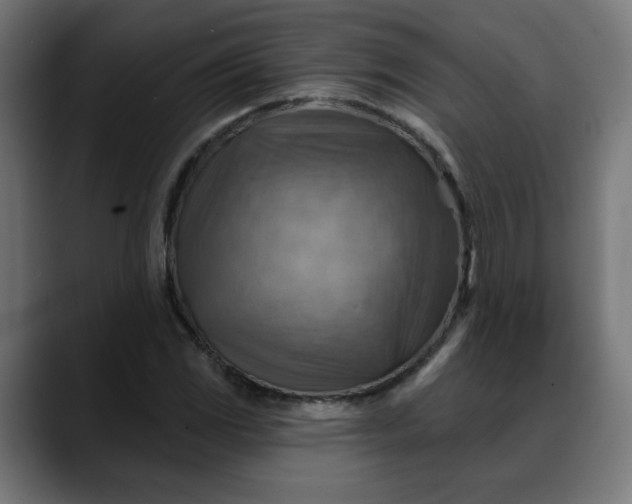 X0000088061117200705251337