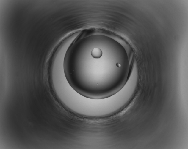 X0000088061118200705251337
