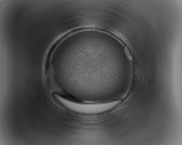 X0000088061120200705251337