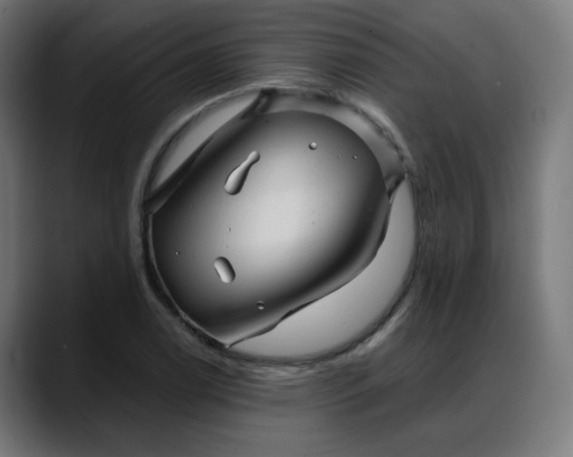 X0000088061122200705251337
