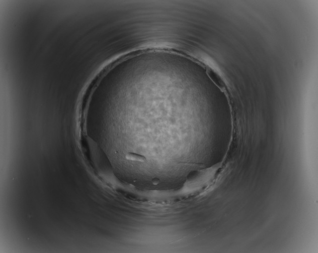 X0000088061124200705251337