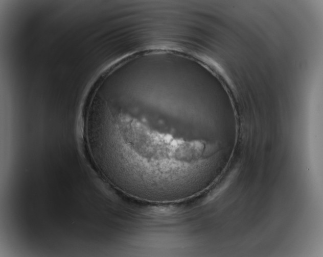 X0000088061125200705251337