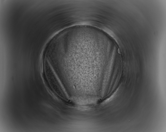 X0000088061127200705251337