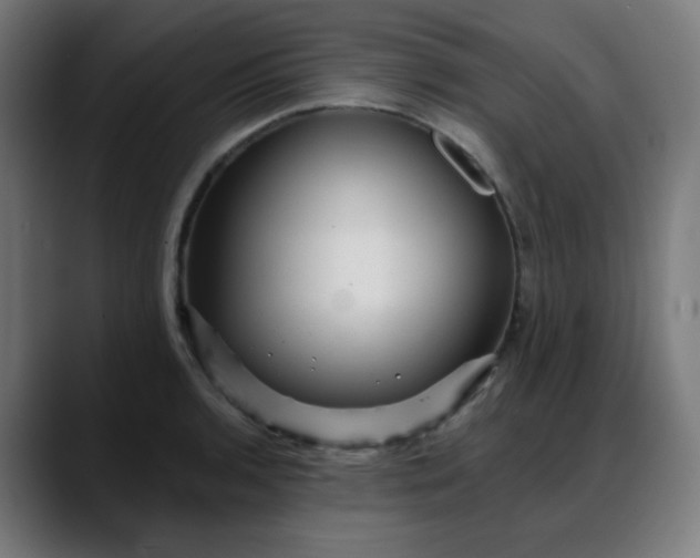 X0000088061136200705251337
