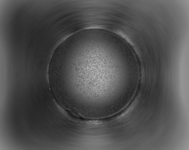 X0000088061137200705251337