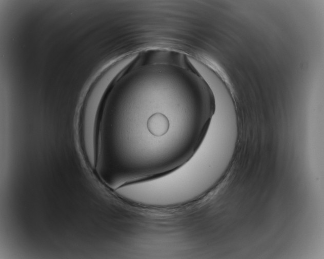 X0000088061138200705251337