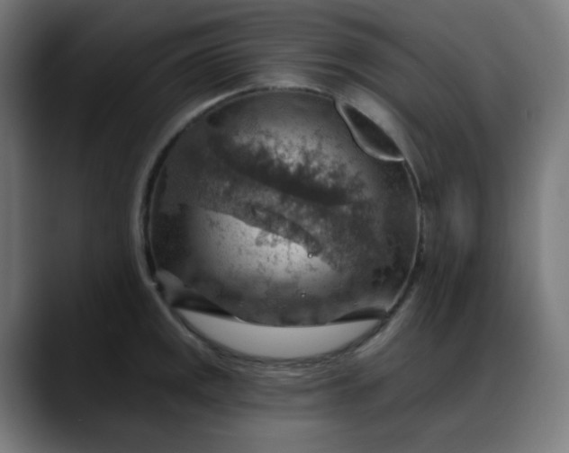 X0000088061141200705251337