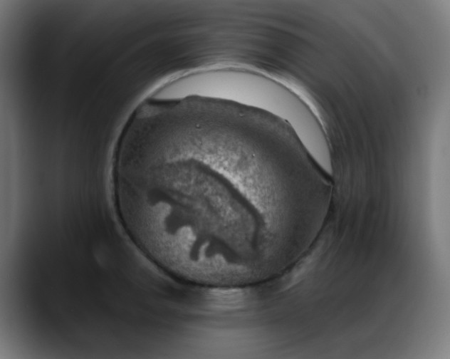 X0000088061142200705251337