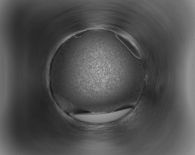 X0000088061143200705251337