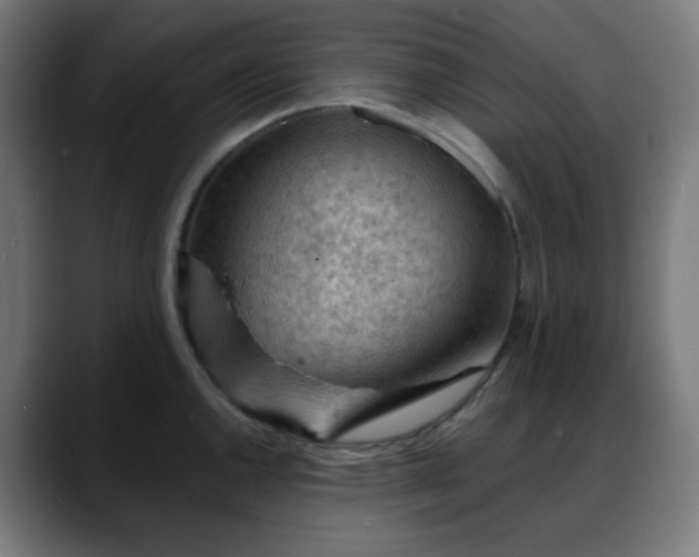 X0000088061144200705251337