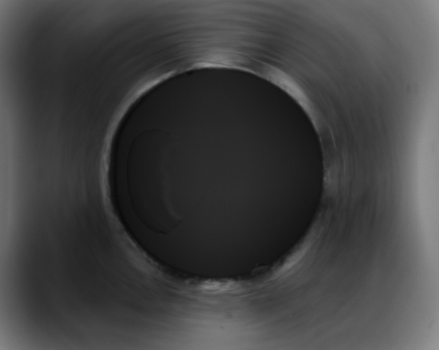 X0000088061146200705251337