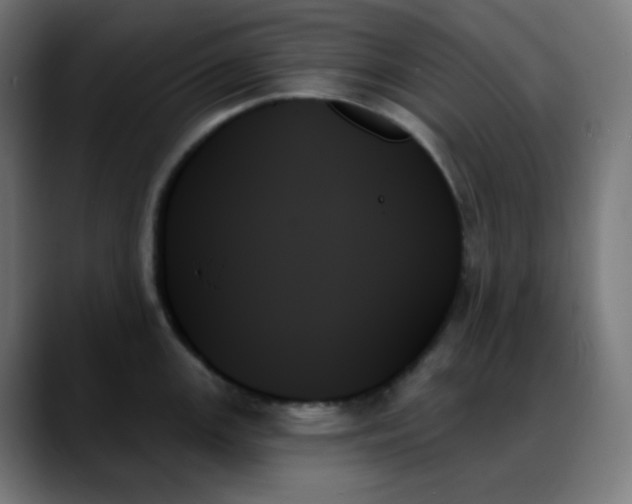 X0000088061147200705251337