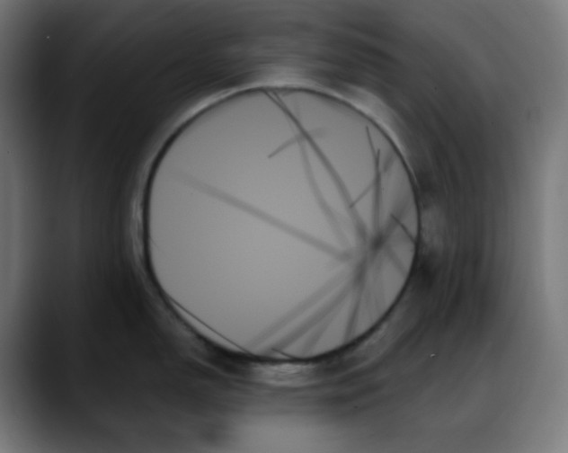 X0000088061150200705251337