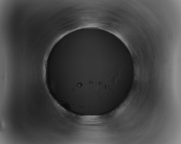 X0000088061151200705251337