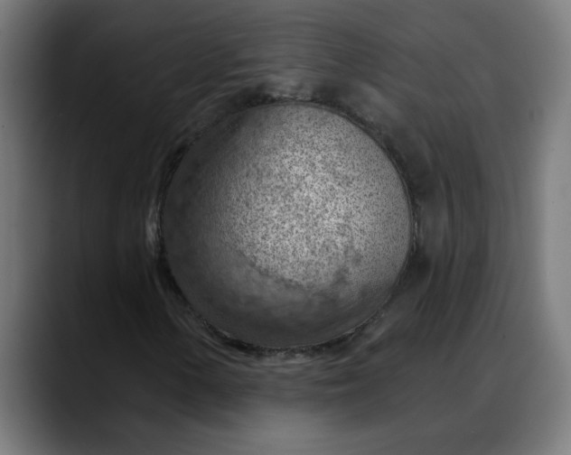 X0000088061154200705251337
