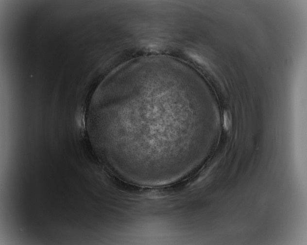X0000088061155200705251337